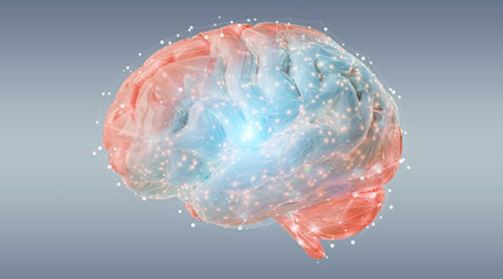 /domains/mmpsicopedagogia.com/pictures/63458050df82e.jpeg